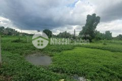 Hàng hiếm bán đất, phường tam bình, quận thủ đức, cò bay thẳng cánh, dt gần 2000 m2 giá chỉ 6,7 tỷ