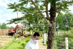 Một dự án với nhiều câu chuyện trong tương lai.