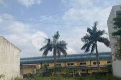 Bán đất kqh vịnh mộc khổ đẹp p. thuỷ dương giá đầu tư