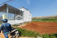 Bán đất bồng lai 795 triệu 5x21m dt 108m2 thổ cư 75m2 đơn dương lâm đồng đất ven đà lạt