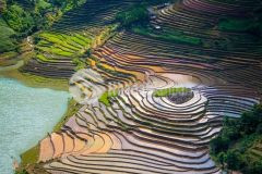 Bán đất sapa nằm trên tuyến đường du lịch diện tích gần 3000m2