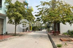 Bán đất kđt thiên phú, tứ minh, tp hd, 60m2, mt 4m, hướng tây, nam, đường 11.5m