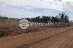 Đường đông tây tân nghĩa hàm tân 30x87 185 triệum