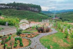 Một lô đất view đẹp ba mặt giáp thông gần trung tâm tp bảo lộc