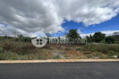 Kẹt tiền cần bán nhanh lô đất xây dựng đẹp giá đầu tư tà nung đà lạt