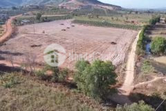 Chính chủ bán gấp lô đất 1,65ha siêu đẹp 3 mặt tiền đại lộ đông tây chỉ 160trm