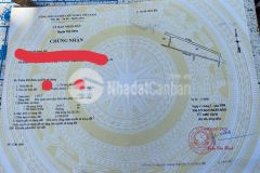 Bán đất lúa cầu voi nhị thành thủ tỉnh long an