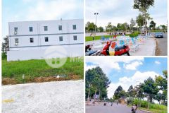 Nắm chủ hàng kín giá hữu nghị cần ra nhanh trong tuần