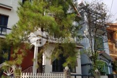 Siêu hiếm biệt thự d6 vườn đào diện tích 180m mt 25m lô góc, nội thất cao cấp