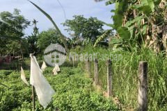 Chính chủ cần tiền bán nhanh lô đất 200m2 điện tiến ngay đầm sen đi vào 200m, đã có sổ