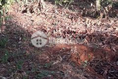 Bán 230m2 đất đẹp tại kbu hoà khánh, giá đầu tư chỉ 1.05 tỷ. lh0792447779