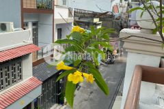 Bán nhà hẻm xe hơi thông, phường 15 tân bình, phan huy ích, 3 tầng btct, 33m2, giá chỉ 4 tỷ 350tr