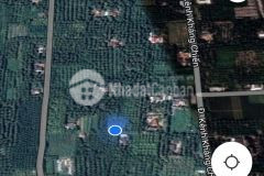 Bán đất ấp hoà thành xã hoà định huyện chợ gạo tỉnh tiền giang