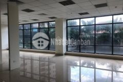 Cho thuê văn phòng mới xây new ringtones download bee ringtones