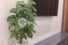 Căn góc 3pn 2wc tầng cao view cực thoáng giá chỉ 2,5 tỷ bao phí,full đồ tại vinhomes ocean park