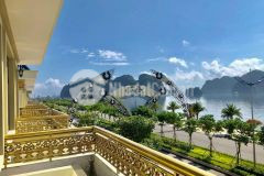 Green dragon city luôn là dự án tốt tại thị trường quảng ninh