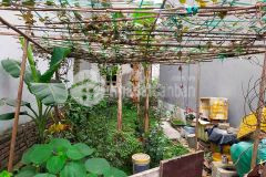 Bán đất phân lô ngõ nông 30m ra ô tô tránh đầu tư đỉnh phúc lợi long biên 50m2 mt4m chỉ 2.4 tỷ