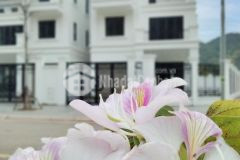 Bán biệt thự song lập vip thành phố sơn la trả góp 0 24 tháng