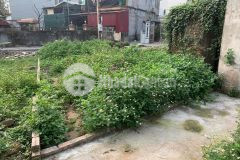 Ối rồi bán đất trâu quỳ 32m2, mảnh đẹp, nhỉnh tỷ