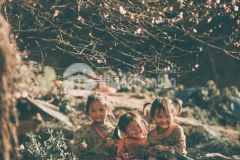 Đất nền tại tả phìn, sa pa. đầu tư lợi nhuận cao, thanh khoản nhanh