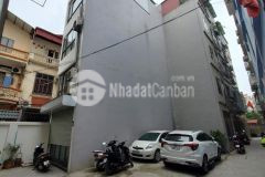 Gia thụy long biên hà nội nhà đẹp lô góc ngõ ô tô hơn 4 tỷ hiếm.