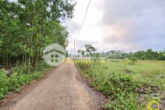 Bán lô đất đẹpdãy 2 đường 73quán ngang 𝗛𝗼𝘁𝗹𝗶𝗻𝗲 𝟬𝟯𝟮𝟵.𝟮𝟮𝟮.𝟬𝟲𝟴