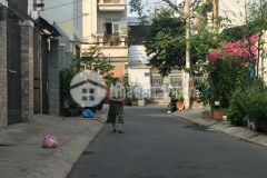 Nhà đẹp, siêu rẻ, p5,gv, 50m2, khu vip. đang phát triển từng ngày.