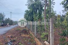 Bán đất thôn cao thắng xã eakao mặt đường nhựa ô tô né nhau giá 1,3 tỷ