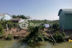 Bán đất mặt tiền huyện chợ gạo, tiền giang