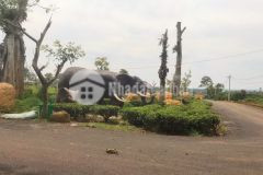 Giao thông qua lại dễ dàng,đất rộng,giá lại rẻ thì mua ngay cho e mảnh này nhé