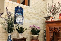 Có một không hai ngọc thụy long biên 52mx5t mt 5m chỉ 4.6 tỷ