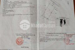 Bán lô đất vườn xanh 554m2 đường cây trôm mỹ khánh,xã thái mỹ củ chi.shr