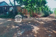 D154vpt bán lô đất 2 mặt tiền đường bê tông xã eana huyện krong ana