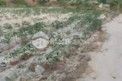 Tân tiến lagi 2,6 mẫu 2 mặt đường 1,7 tỷ mẫu