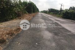 1,66hecta thổ cư mặt tiền huyện lộ 41,thạnh mỹ,tân phước,tiền giang.