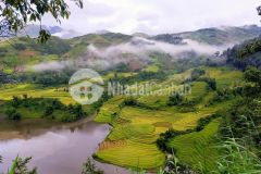 400m2 đất thôn lao chải y tý sapa 2 nơi săn mây đẹp nhất y tý đã có trích lục