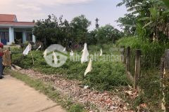 Điện tiến, view lúa, diện tích gần 200m2, đất ở thổ cư, dân cư đông đúc, sát đầm sen điện tiến