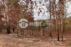 8,4 sào 2,5 tỷ tân hà, hàm tân 2 đường trước sau 170m