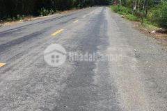 7,8công mặt tiền tỉnh lộ 867,thạnh mỹ,tân phước,tiền giang.