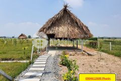 Cần bán căn nhà vườn cực đẹp ở xã nhuận đức củ chi