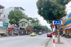 Bán đất thạch bàn, cổ linh, 145m2, mt5.3m, ô tô, 20m ra phố, nhỉnh 9 tỷ