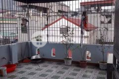 Cần tiền bán gấp nhà đẹp ở ngay trần khắc chân 4.3x17, pn