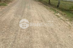 Cần bán nhanh miếng đất vườn 1000m2 ở củ chi chưa qua đầu tư giá 1 tỷ 950