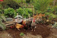 Bán gấp lô đất đầu tư giá mềm cho người đến trước