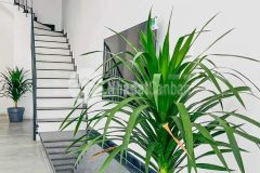 Hot hot chỉ 4,75 tỷ có ngay nhà quang trung 64m2