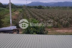 3ha đất vườncln,cần bán gấp