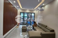 Phố tôn thất thiệp nhà đẹp, thang máy, kd, ôtô đỗ cửa. gía 11.9 tỷ.