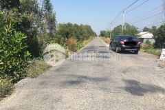 1,8hecta mặt tiền huyện lộ 45,xã tân hoà đông,tân phước,tiền giang