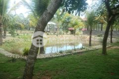 Mê ngay lô đất đẹp góc 2 mt 1005m2, 28 nền biệt thự đg 5 lg phước gần vinq9, giá 17 tỷ tl