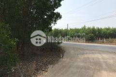 Lý nam đế 38x68 260 triệum ngang tân phước lagi